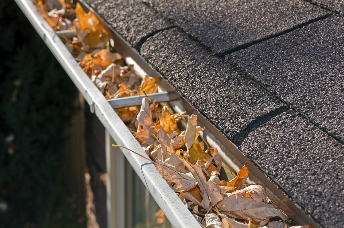 Protect Your Investment: Why Professional Gutter Cleaning is Essential