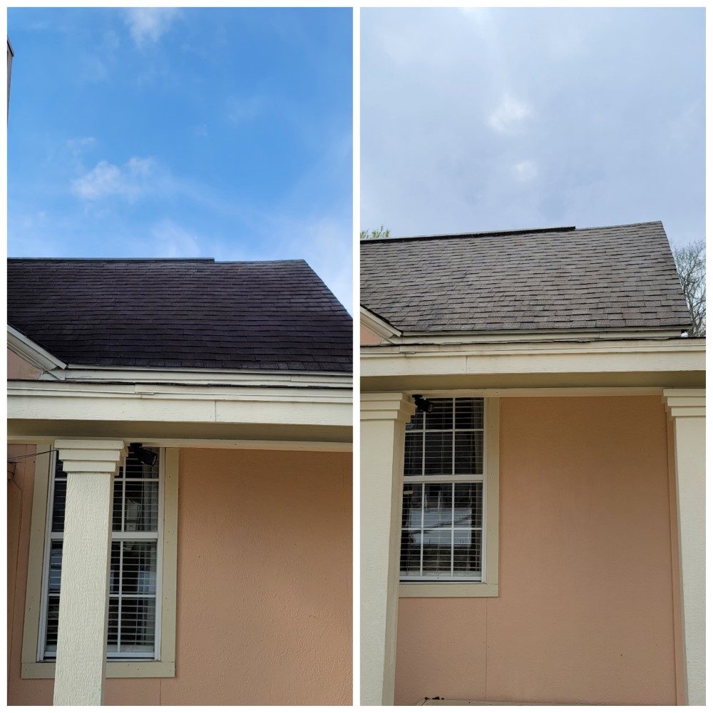 House and Roof Soft Wash in Nederland, TX