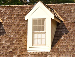 roof cleaning