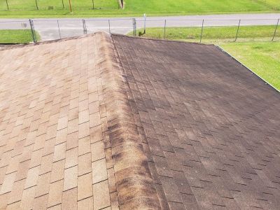 Roof Washing on Palm Street in Vidor, TX